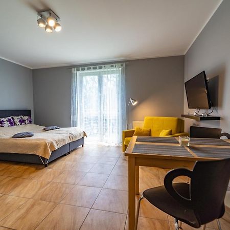 Apartament Zielony Zakatek Swieradow-Zdroj Exterior photo